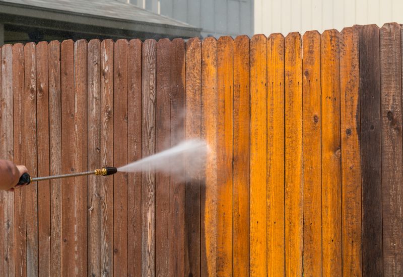 Fence and Gate Cleaning