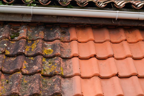 Industrial Roof Cleaning in Brunswick
